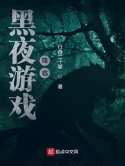 ��ҹ��Ϸ������