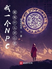 ��һ��NPC����ʲô����˼