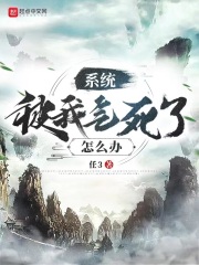 ϵͳ������������ô��